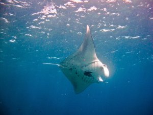 175696_10150234616107563_6650063_o