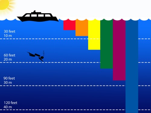 The colour spectrum underwater. www.proscubadiver.net